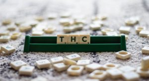THC versus CBD