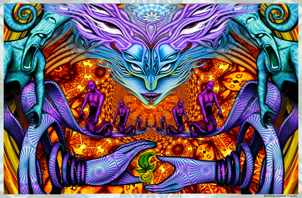 Salvia Divinorum by Salvia Droid