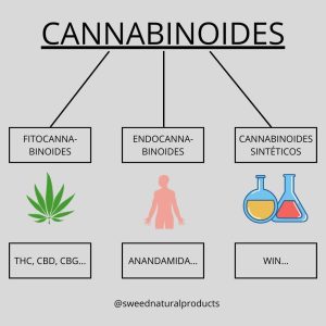 cannabinoides, endocannabinoides, sistema endocannabinoide, fitocannabinoides