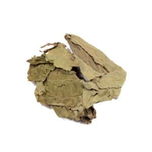 Salvia Divinorum